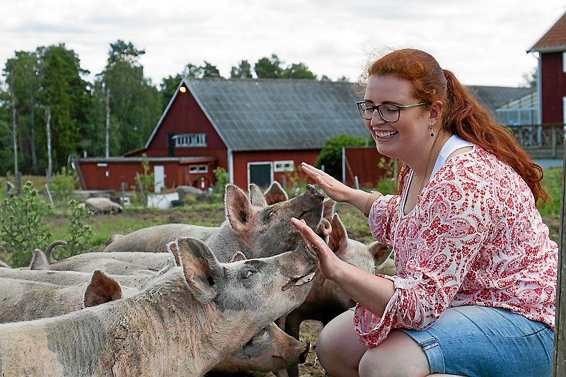Att hälsa på utegrisarna är ett sätt att koppla av i vardagsstressen.