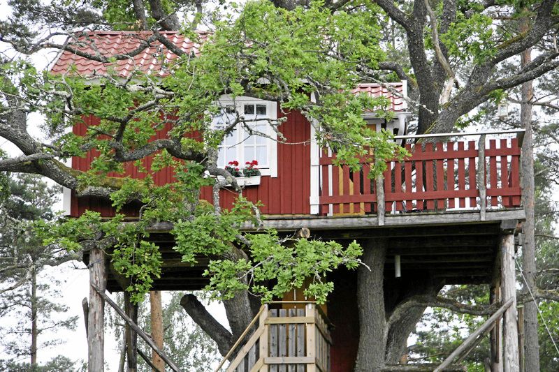 En röd stuga nära trädtopparna .