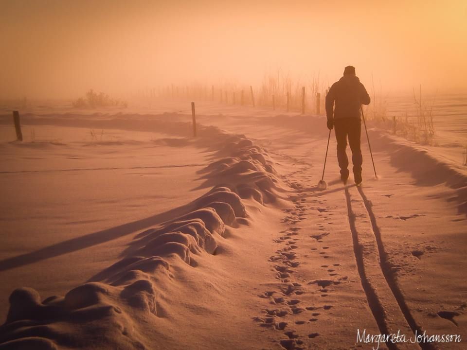 Margareta Johansson, Östergötland, fotar en skidåkare i dimman. Vackert!
