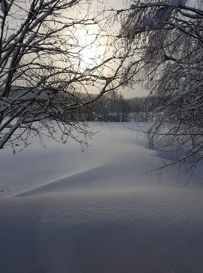 Lillbodarna i Bergsjö Hälsingland, hästhagarna har försvunnit hälsar Katarina Lundin.