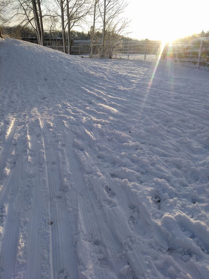 Åker pulka med barnen medan snön ligger.