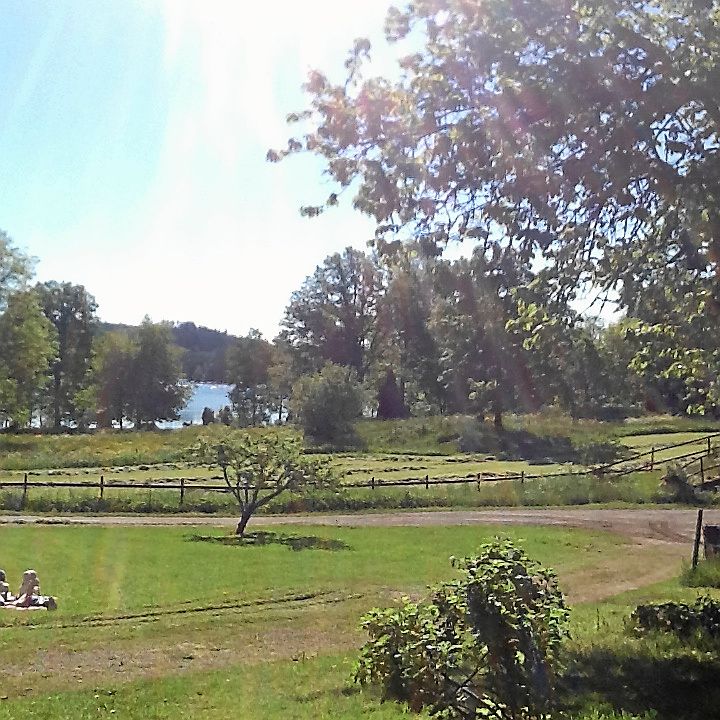 Utsikten framför Backagård.