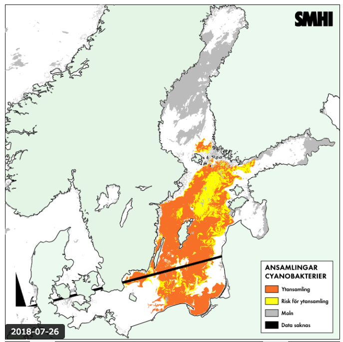 SMHI ger en översiktlig, daglig koll på algblomningen på sin hemsida. Så här såg kartan över algblomningens utbredning ut torsdagen den 27 juli. (Klicka på bilden för att se den i en större version.)