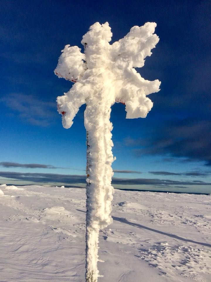 Lennart Nilsson-Välimaa skickar bild från Ledmarkering på Dundret, Gällivare