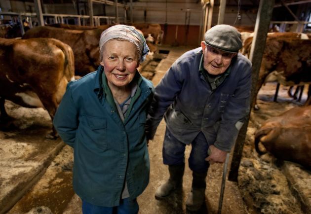 Syskonen Sonja och Göstas kärlek till sina rödvita mjölkkor skildras i dokumentären ”Korna i Djurarpsdalen”.