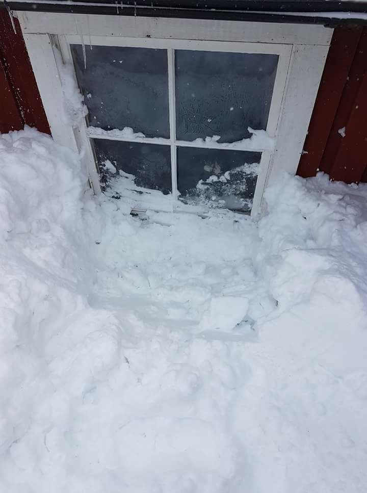 Vårt sovrumsfönster fick skottas fram, i Sänningstjärn som var en av de ställen som fick mest snö i landet, skriver Jenny Löfdahl.