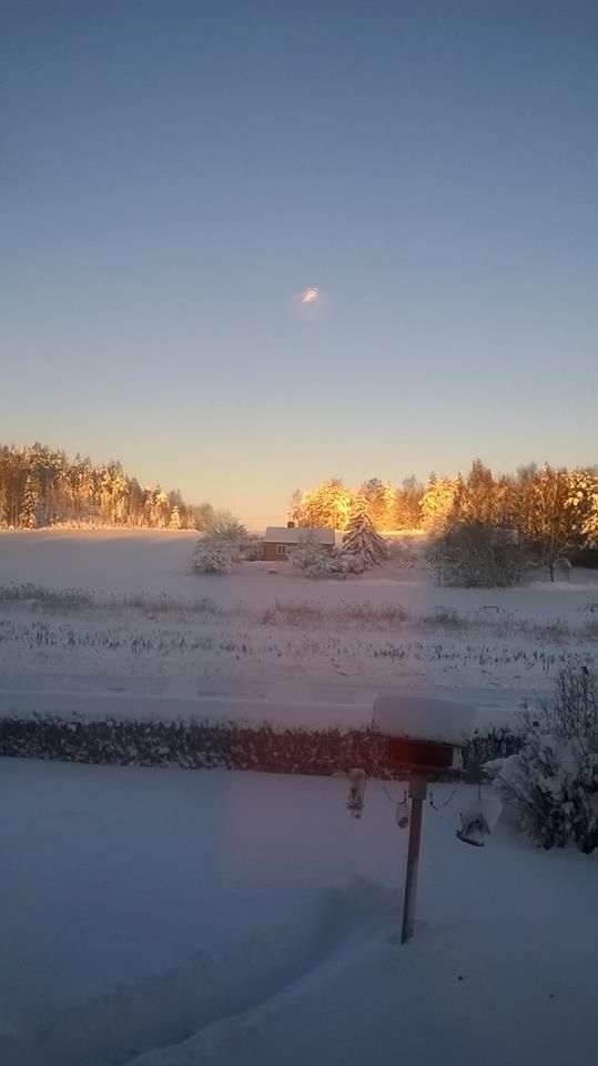 Fin landskapsbild från Björnsholm, Kalmar län.