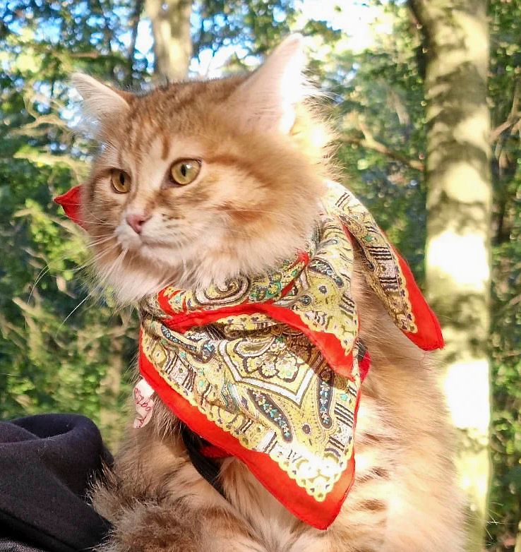 Hera kommer på frimärke i augusti!