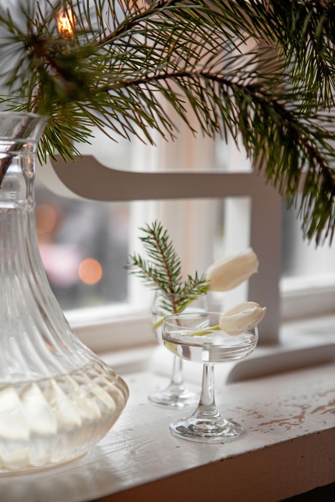 Fönsterpynt. Enkelt och vackert med mörkgrönt granris och vita tulpaner.