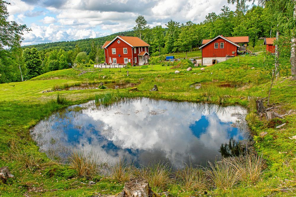 Skapad damm som ser ut som om den alltid funnits där.
