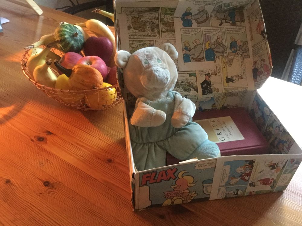 Glada lådan. Sara har samlat några av sina käraste ägodelar för att påminna sig själv om vad som ger henne glädje. Nallen hon fått av sin mormor, en betydelsefull bok och några fotografier.