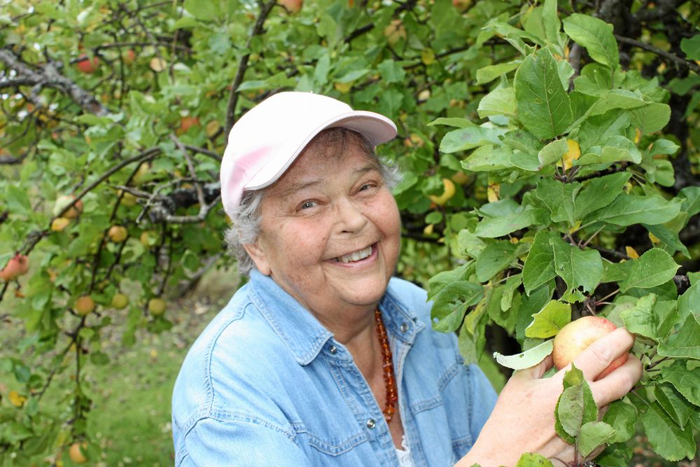 Vivianne njuter i dag av sin stora trädgård och minns bondelivet med glädje.