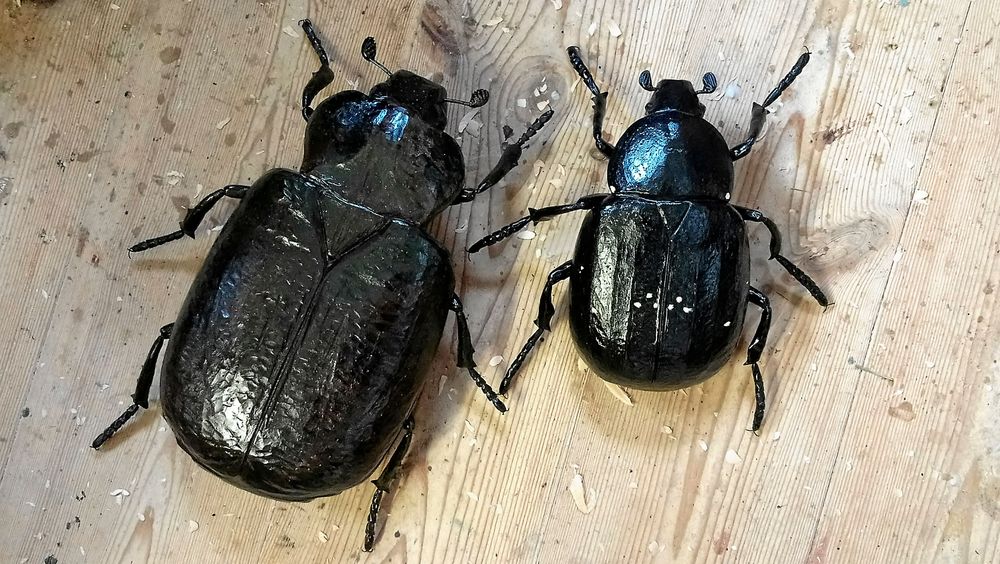 Två snidade blanka skalbaggar, en läderbagge och en svart guldbagge.