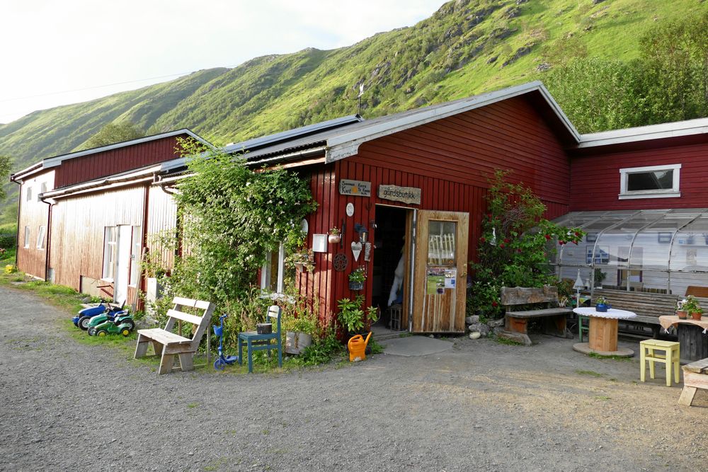 Aalan Gård i Lofoten tillverkar egen ost i världsklass, en stor del av den leveraras till Hurtigrutens fartyg.