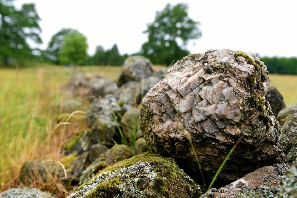 I stenrösen går det att hitta mycket vulkanrester.
