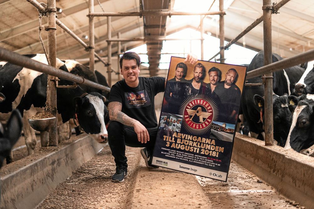 I vanliga fall sköter Ola-Niss korna i lagården men ibland är han konsertarrangör också.