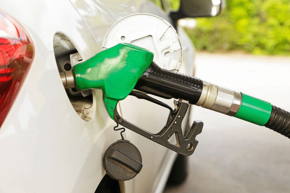 Koldioxidskatten och energiskatten sänks.