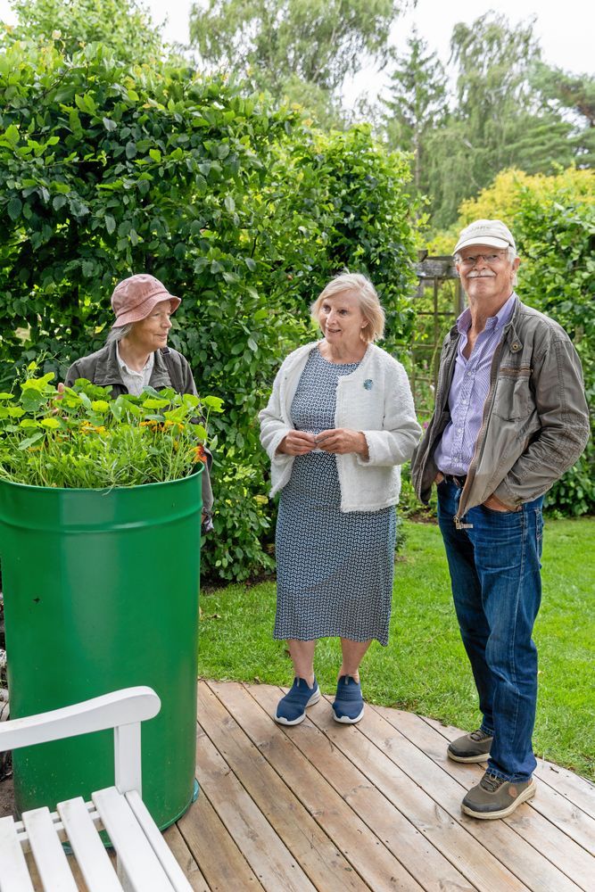 ”Har man hållit på med växter i så många år som jag känner man igen de flesta. Men jag tycker om att se hur andra arrangerar dem” säger Birgitta Tryggvesson, som åkte på Öppen Trädgård tillsammans med äkta paret Birgit Nilsson Karlsson och Dan Karlsson.