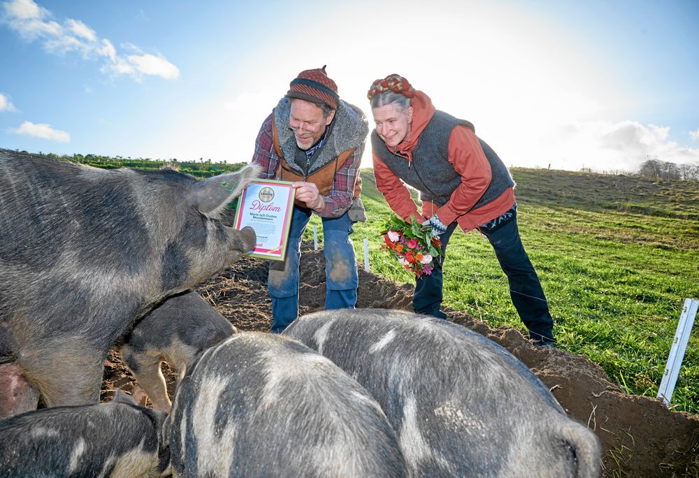 Vad tycks om vår diplom, skojar Gustav skojar med en av gårdens utegrisar.