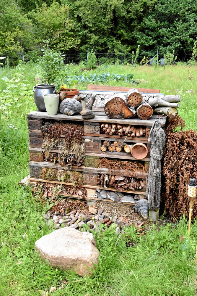 Köksträdgården är självklart ekologisk och hyser även ett insektshotell.