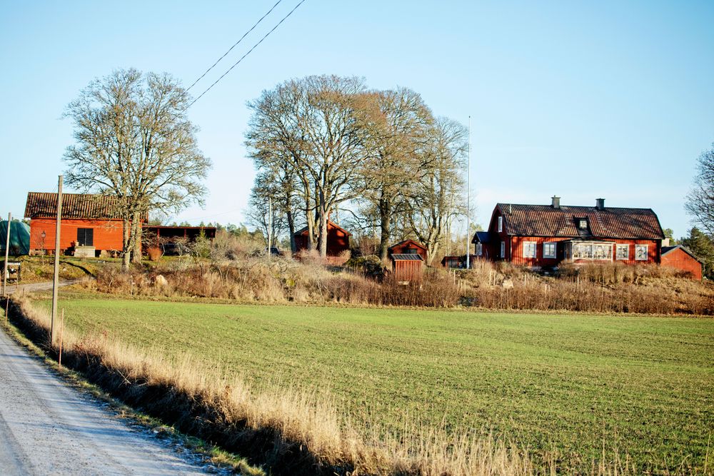 Ekbolanda gård ligger på en höjd med tillhörande 110 hektar åkrar och betesmark