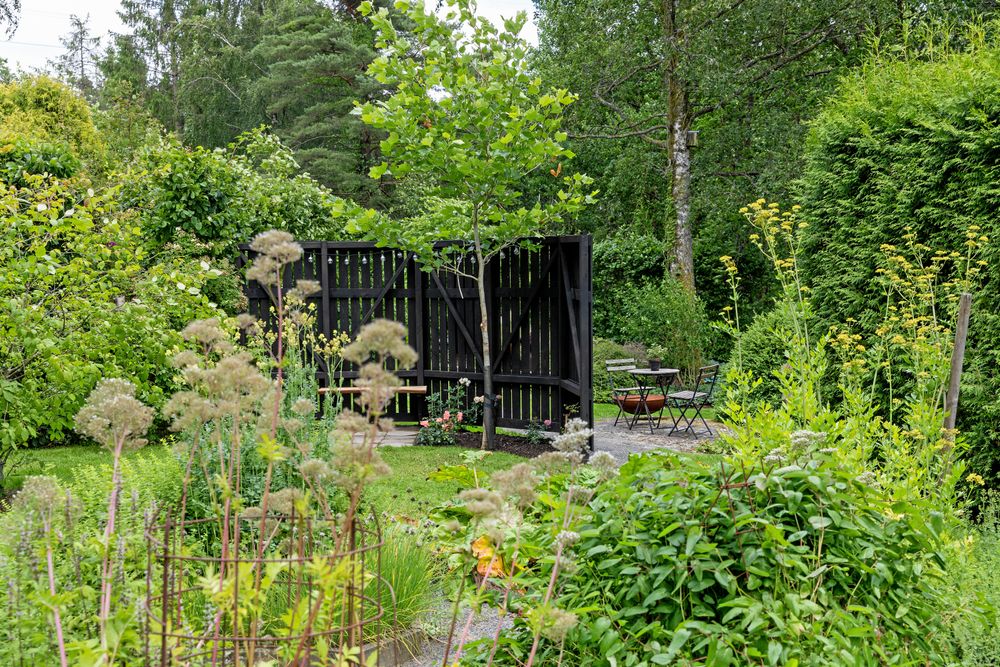 Kristina och Per-Anders arbetar mycket med häckar i sin trädgård. Dels bryter de vinden men framför allt skapar de rumslighet. ”På våren, innan bladen slår ut, ser man rakt igenom hela trädgården. Stopp för ögat är lika viktigt som siktlinjer” tipsar Kristina.