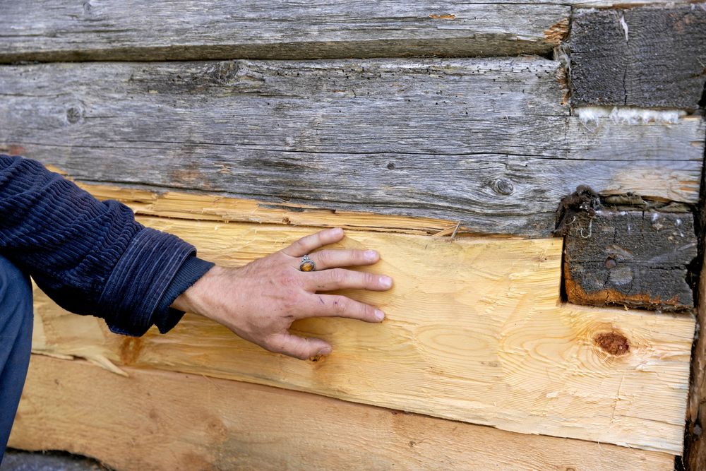 Emil har bytt ut en skadad del av timmerväggen på bagarstugan med nytt, friskt timmer.