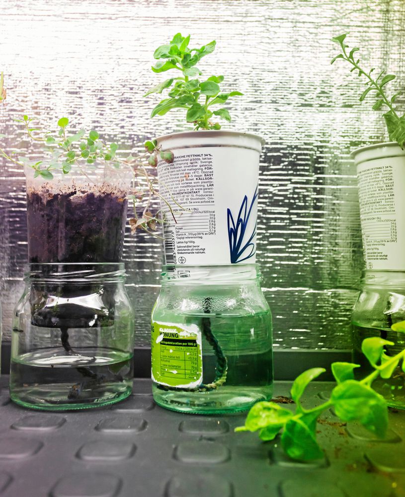 Honungsburkar, plastglas och créme fraiche-burkar funkar. Vem behöver köpa krukor?