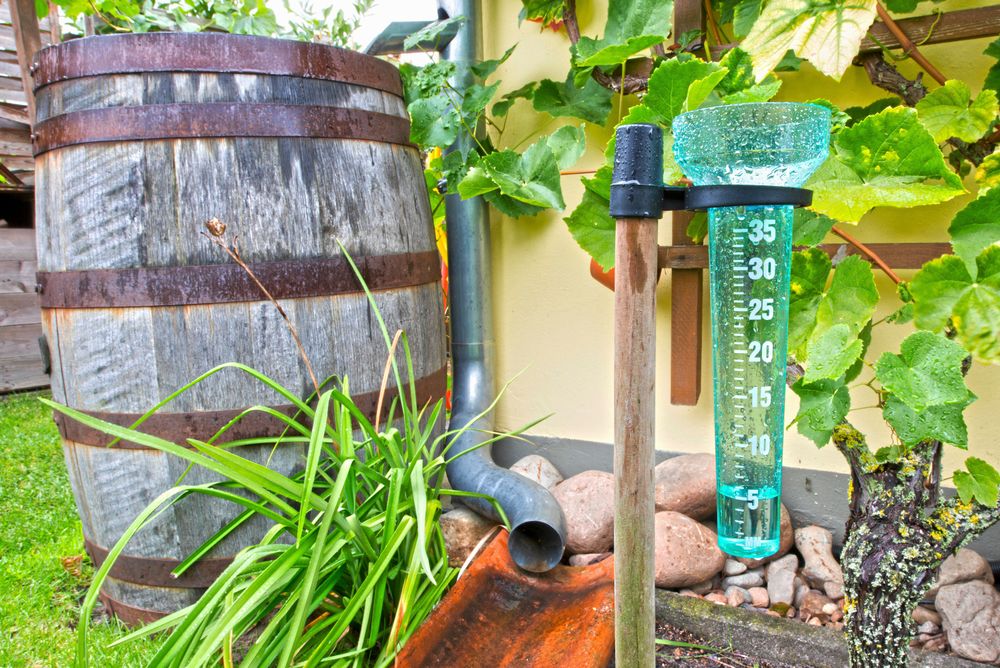 Tunna och tegelpanna visar vattnet vägen ut i grönskan.