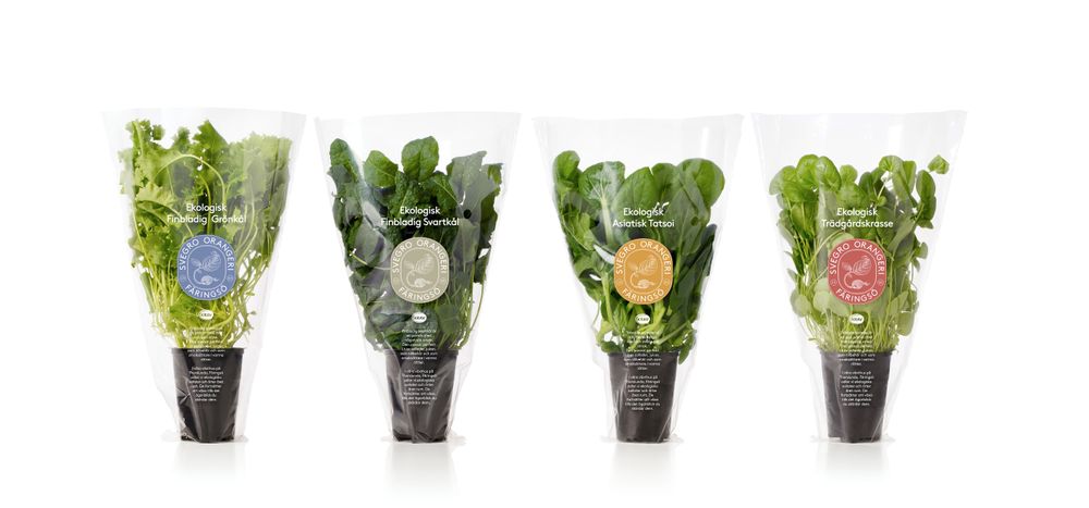 Svegro odlar örter av alla de slag.