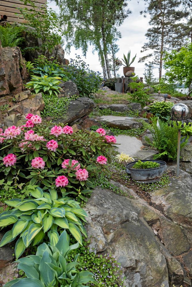 Naturmaterial och loppisfynd samsas som komplement till alla mer eller mindre ovanliga växter. ”Jag gillar att hitta keramik och rostiga grejer och tänka ut var de skulle passa” säger Paula.