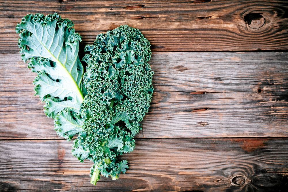 Grönkål går att njuta av som den är eller i en gryta eller gratäng.