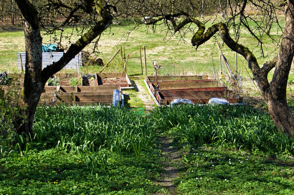 Kökstyrädgården är en stor hobby för Birgitta.