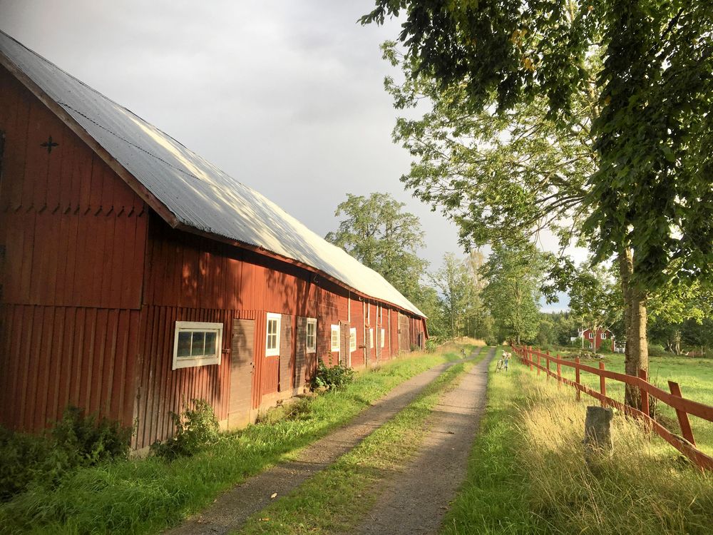 Mellan huset Backagård och huset Lindeberg ligger en stor lada som familjen ska göra om till en festlokal inför nästa sommar då Lovisas syster gifter sig här. ”Vi har fått anledning att äntligen renovera den, något vi drömt om länge”, säger Lovisa.