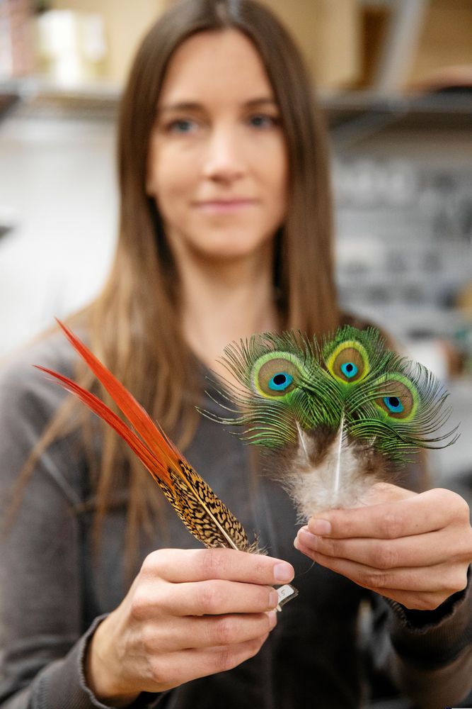Therese visar några av de vackra fjädrar hon plockat upp från när fåglarna ruggat.