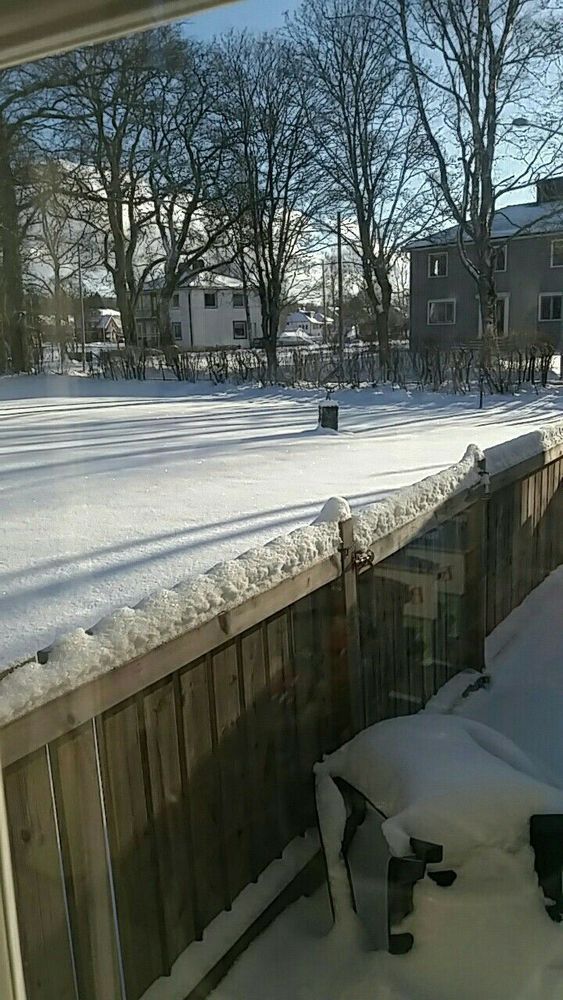 I Timmele utanför Ulricehamn håller staketet än, får vi hoppas!