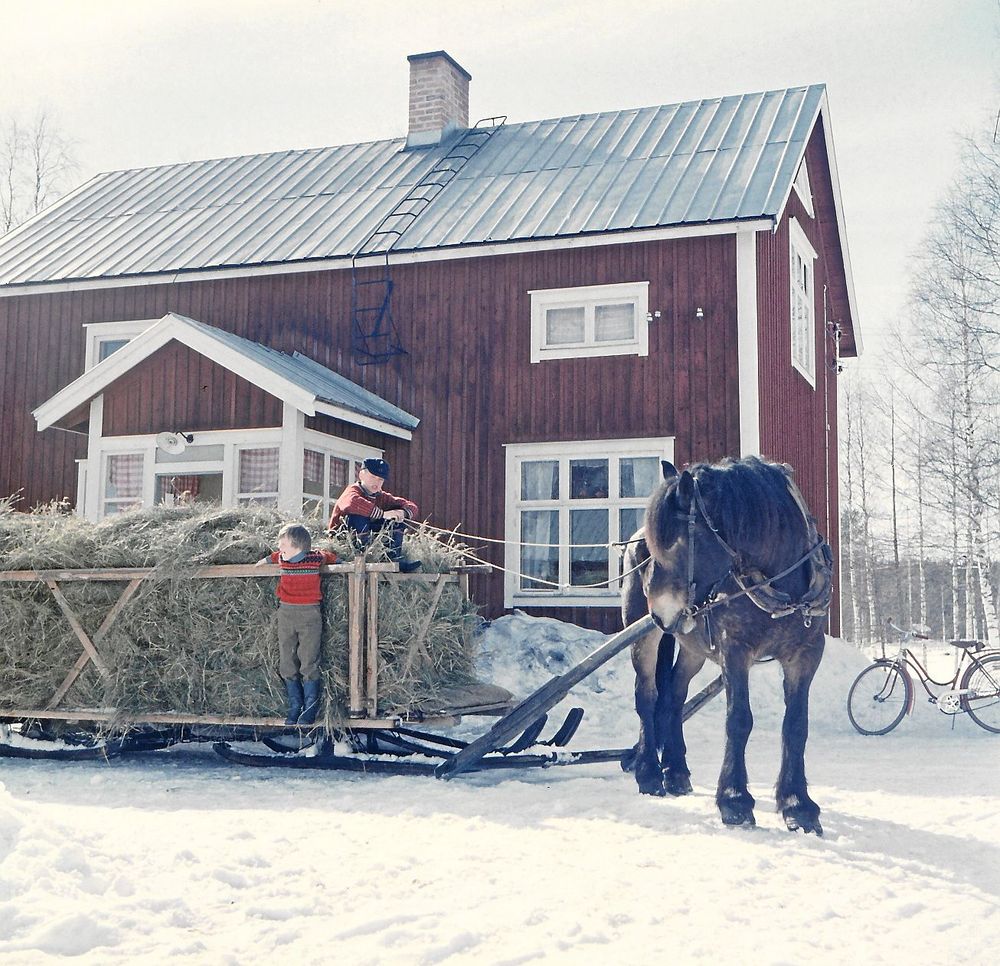 Maria Sundéns far Kjell-Ove Sundén och hans lillasyster Agneta Sundén som följde med i samband med att hö hämtades hem från någon av gårdens hölador någon gång under 50-talets slut.
