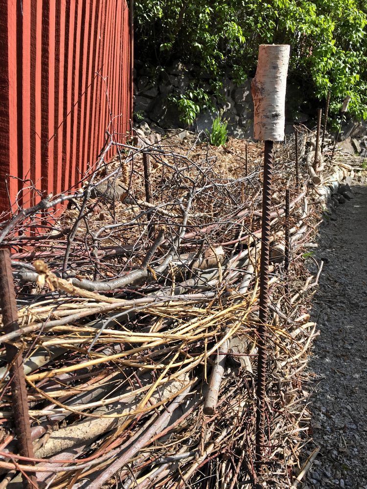 Gammalt sly blir en fin inramning till lövkomposten.