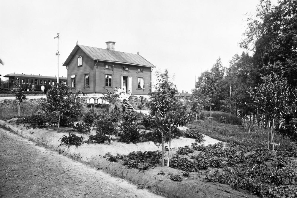 Stinsen Gustaf Johansson vid Bägviken station hade en trädgård med fruktträd, bärbuskar och odlingar. Dessutom bikupor på rad. Bilden togs 1900.