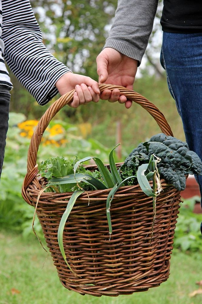 Äntligen ätbart från grönsakslandet. Gödsla och så nytt när du skördat.
