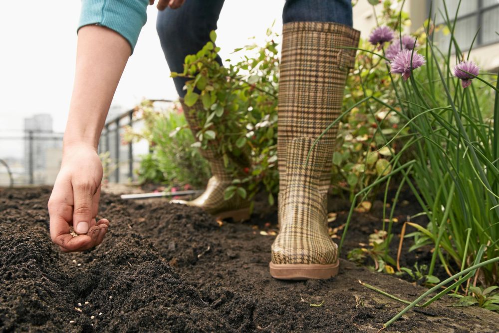 Att variera trädgårdsarbetet är kanske det viktigaste tipset. Det finns många sysslor att göra i trädgården.