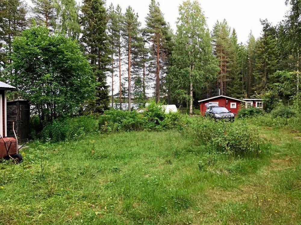 Så här igenväxt vare tomten där den ganska fallfärdiga stugan stod. Man kan bara skymta sjön Kvarnträsket.