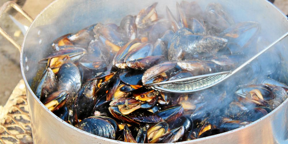 Tillredningen sker med fördel i en kittel över öppen eld.