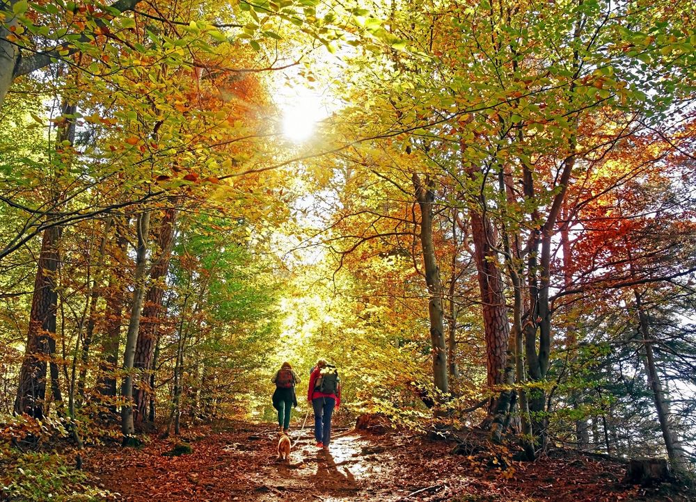 När du rör på dig så stärks dina muskler.