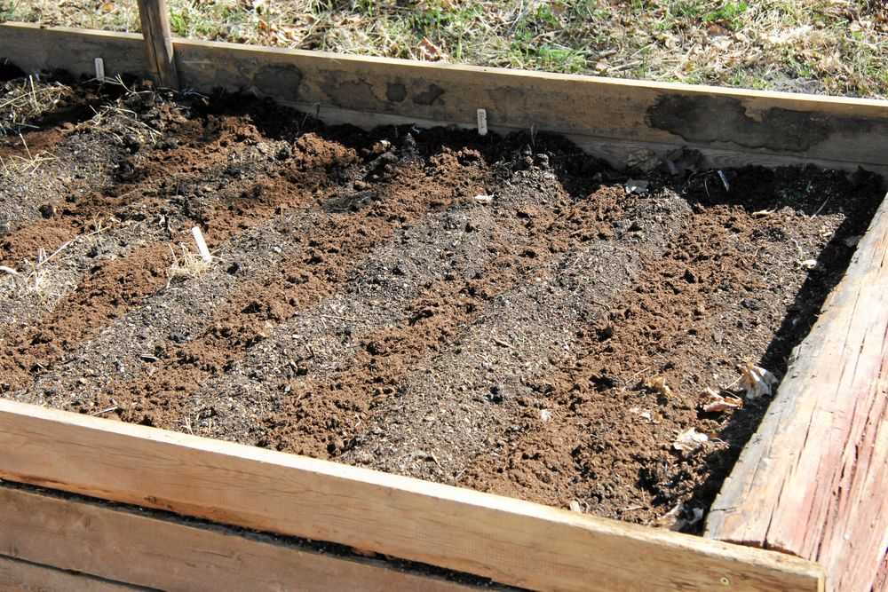 Om jordytan är grov kan du lägga ut planteringsjord där du ska så, då har fröna något att fästa i.