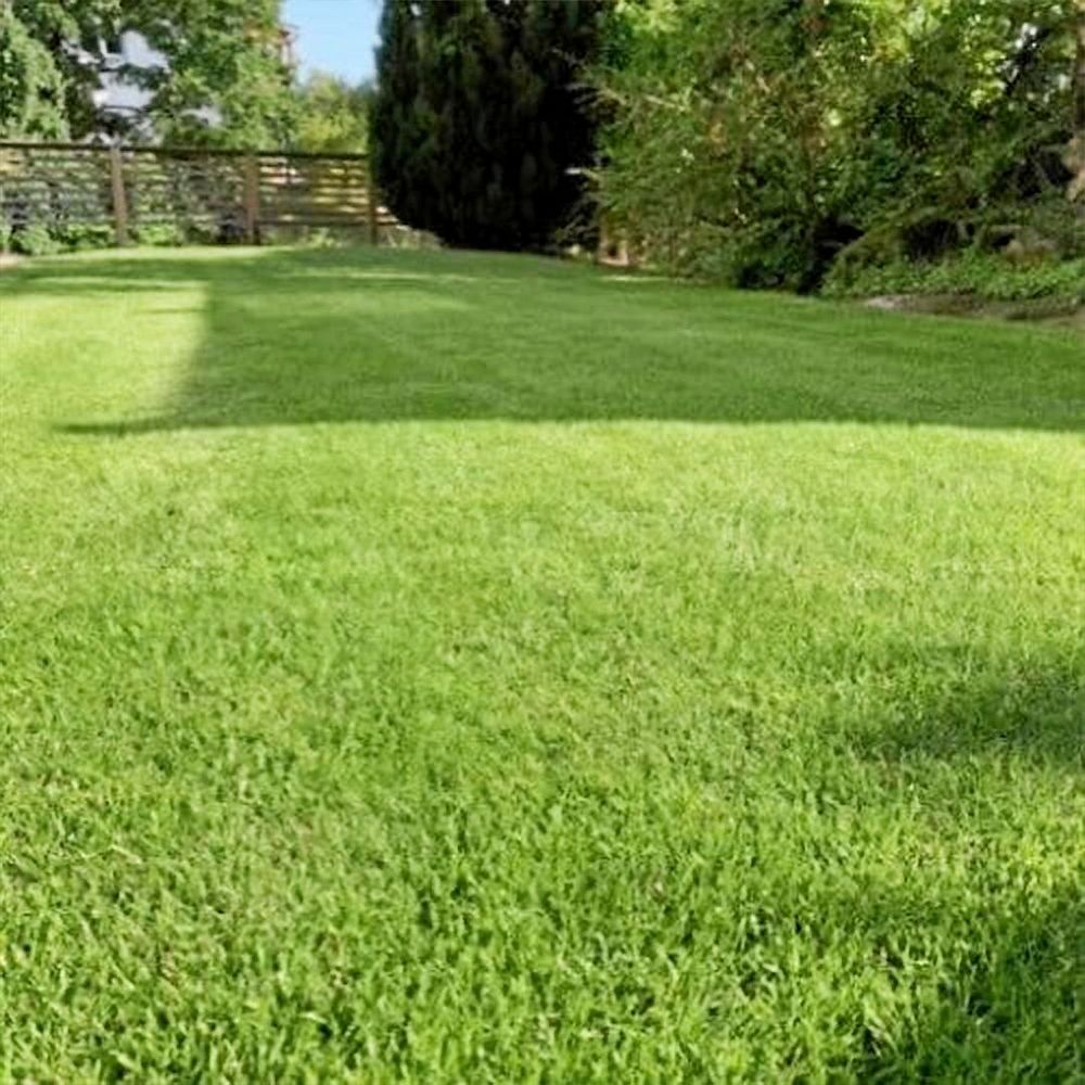 Så välklippt och så tät. En riktig vinnarmatta.