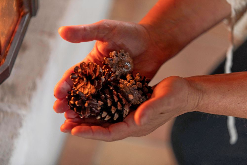 Tallkottar från skogen får torka så att de öppnar sig. Sedan doppas de i smälta ljusstumpar och paraffin som smälts över ett vattenbad.