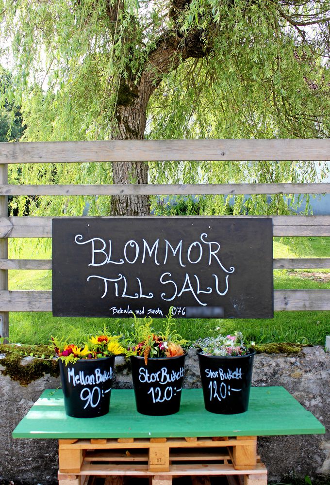 Nu mer går Fridas buketter åt, men hon vill hålla sin odling småskalig. ”Det ska vara roligt. Ju större odlingen är desto mer tid krävs.”