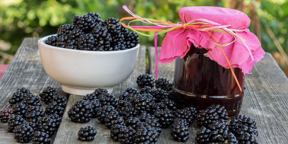 Fullmogna björnbär passar fint att göra sylt på. Foto: Istock