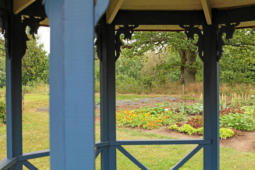 Här syns drakarna i motljus.